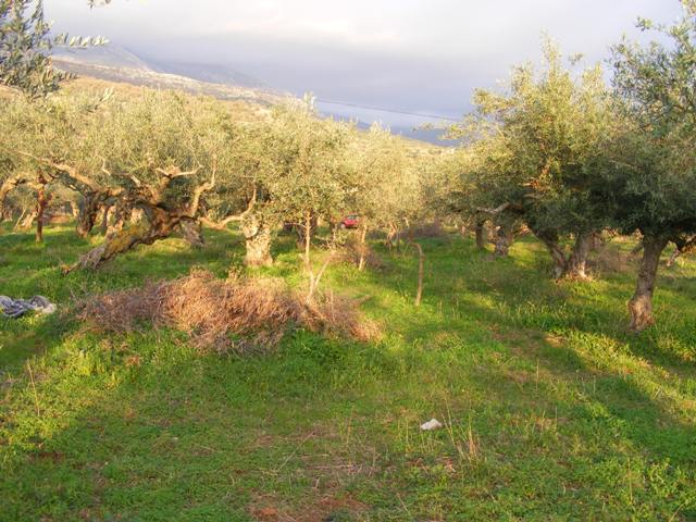 Agios Nikolaos building land in Mani